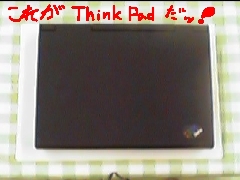 ThinkPad 530CS